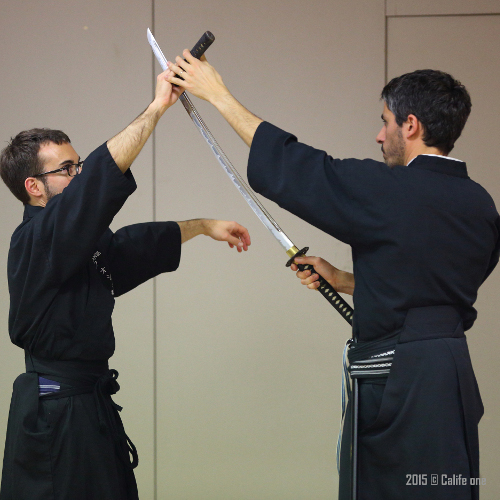 iaido sport santé